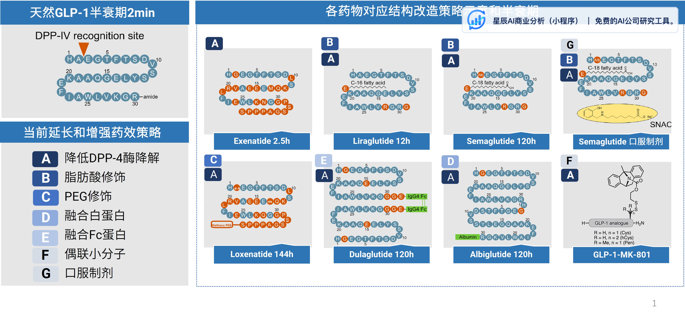 GLP-1 类药物结构改造策略与半衰期对比图：天然 GLP-1 仅 2 分钟，经脂肪酸修饰、融合白蛋白、口服递送等策略后，司美格鲁肽等可达 120 小时。
